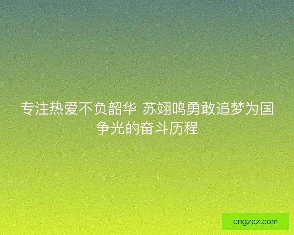 专注热爱不负韶华 苏翊鸣勇敢追梦为国争光的奋斗历程