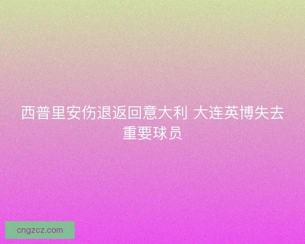 西普里安伤退返回意大利 大连英博失去重要球员