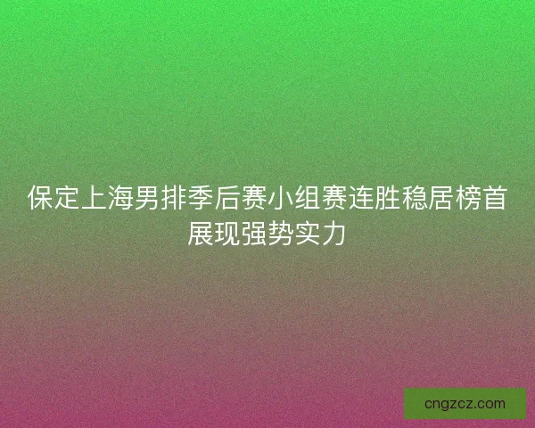 保定上海男排季后赛小组赛连胜稳居榜首展现强势实力 保定上海男排季后赛小组赛连胜稳居榜首展现强势实力